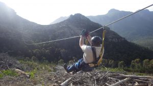 Zipline